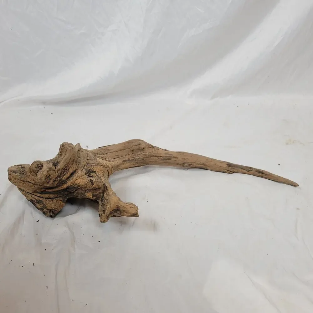 Ohio River Driftwood 29